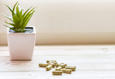 Close-up of potted plant on table