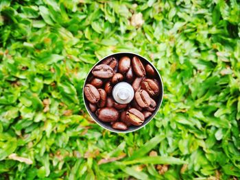 Directly above shot of roasted coffee beans in container on field