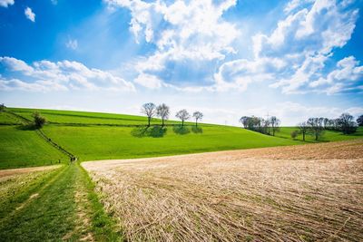 Scenic view of field against sky