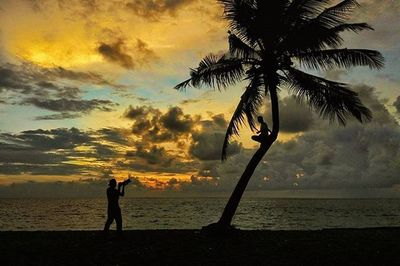 Silhouette of palm trees at sunset