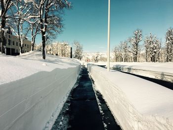 Tire tracks in winter