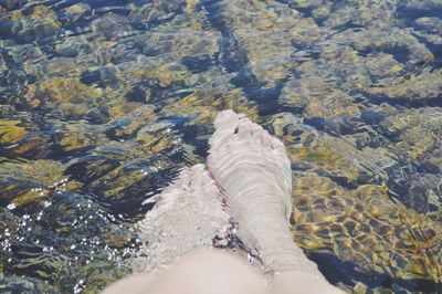 Low section of person in sea