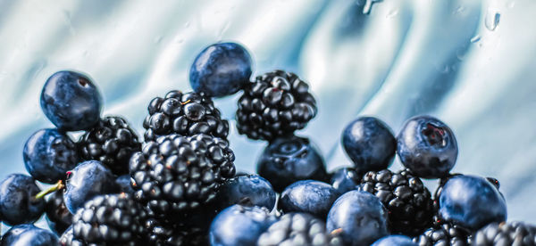 Close-up of fruits
