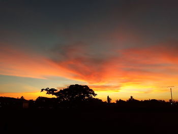 Silhouette trees against sky during sunset