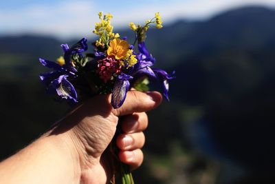 Cropped image of hand holding fresh flowers