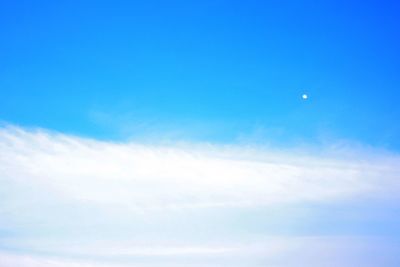 Low angle view of trees against blue sky