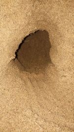 sand