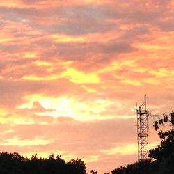 Silhouette of trees at sunset