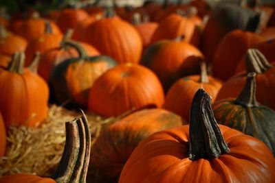 Full frame shot of pumpkins for sale