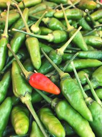 Full frame shot of green chili peppers