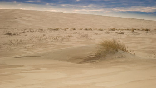 Scenic view of sand dunes in desert against sky