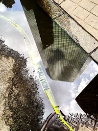 Reflection of trees in water