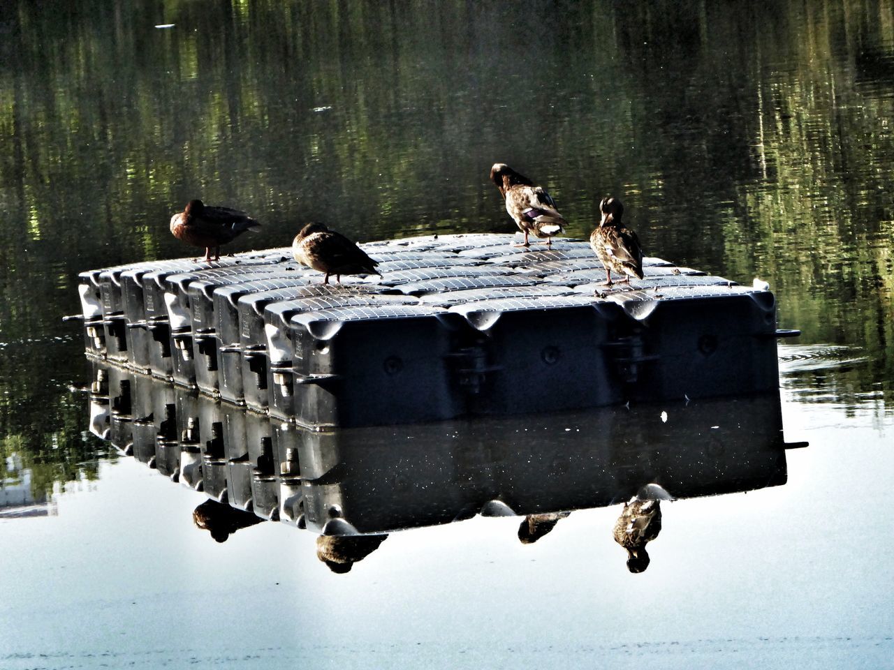 Chillen am See