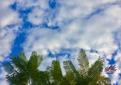 Low angle view of trees against cloudy sky