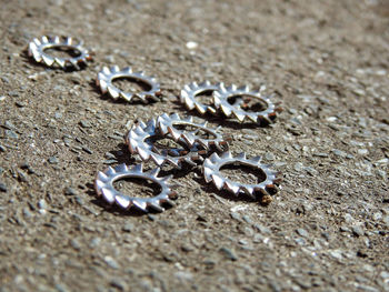 High angle view of shells on sand