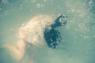 High angle view of woman swimming in lake