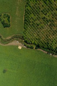 Full frame shot of farm