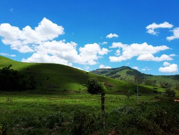 Scenic view of landscape against sky