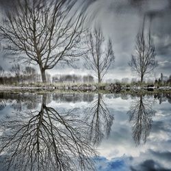Bare trees by lake against cloudy sky