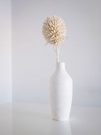 Close-up of white flower vase on table against wall