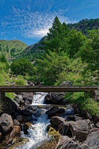 Scenic view of river flowing through rocks in forest