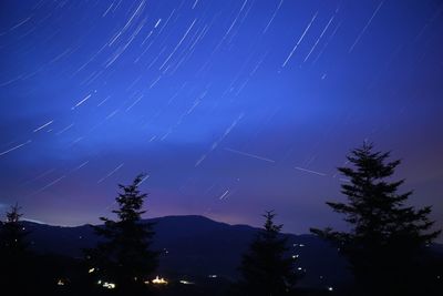 Low angle view of silhouette trees against sky at night