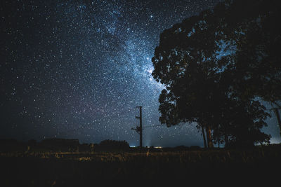 Low angle view of silhouette trees against sky at night