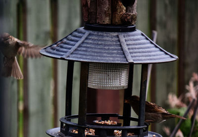 Close-up of a bird feeder