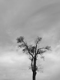 Low angle view of bare trees against cloudy sky