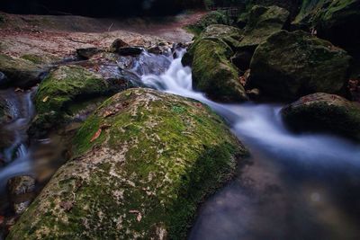 Close-up of waterfall in forest