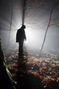 Rear view of silhouette man standing by trees