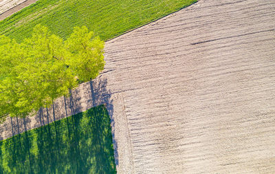 High angle view of field