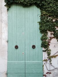 Closed wooden door by creepers on house