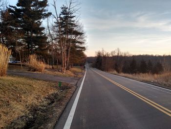 Empty road along trees and plants