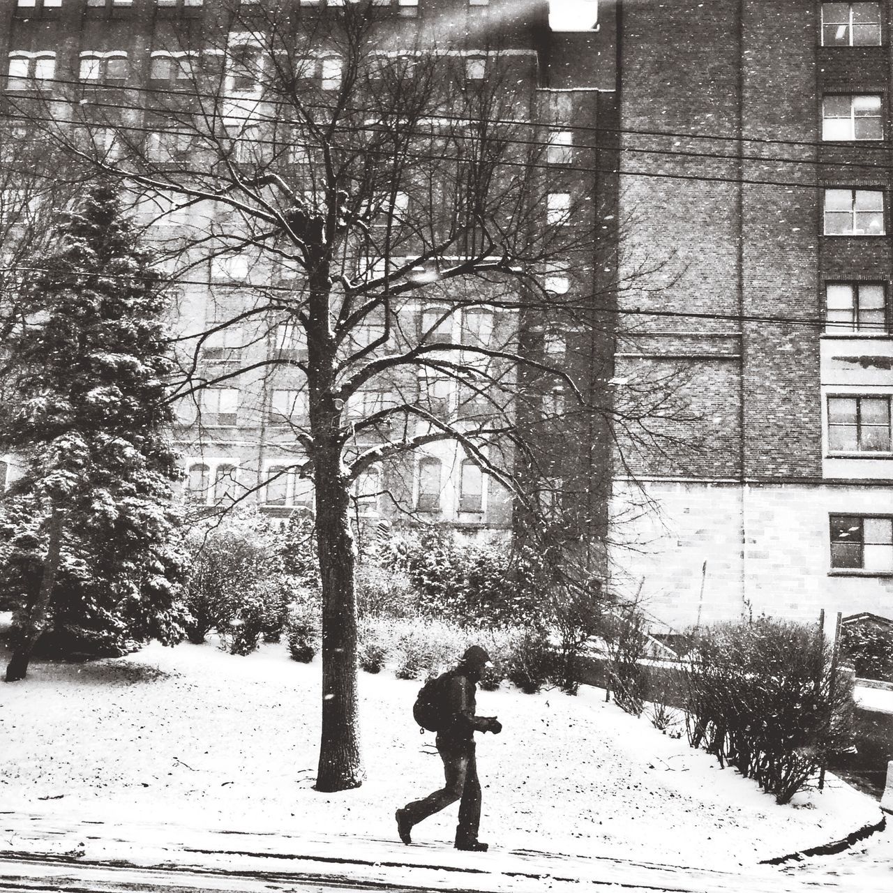 snow, winter, building exterior, season, architecture, cold temperature, built structure, walking, full length, lifestyles, tree, street, weather, bare tree, leisure activity, city, person, tree trunk