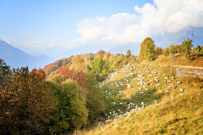 Panoramic view of landscape against sky