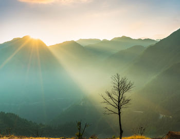 Sunlight streaming through trees on landscape against sky