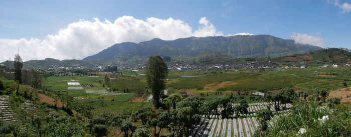 Panoramic view of agricultural field against sky