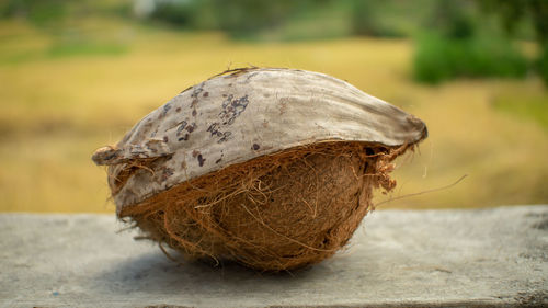 Close-up of a bread on a table