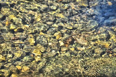 Full frame shot of rocks