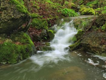 Stream flowing by rocks in forest