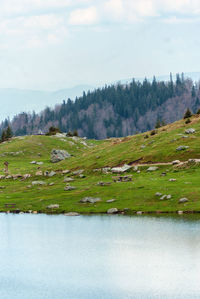 Scenic view of landscape against sky