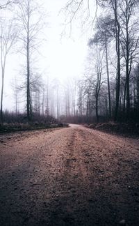 Dirt road passing through forest