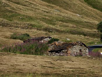 House on field