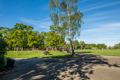 Trees in park against sky