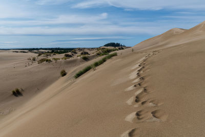 Deserted sand dunes in oregon with human footprints 