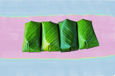 Close-up of green leaves on table