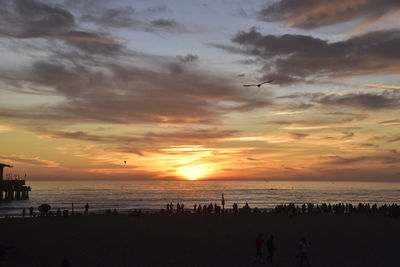 Scenic view of beach during sunset