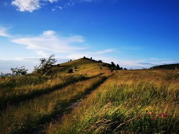 Scenic view of field against sky