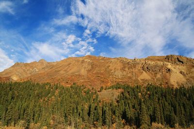 Scenic view trees and bare mountains against cloudy sky